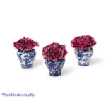 Mini Ginger Jar With Picks 1