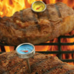 Mini Steak Thermometers, Set Of 4 5