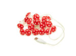 Mushroom Led String Lights 2