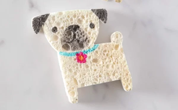 Natural Life Pop-up Sponge, Set Of 5 1