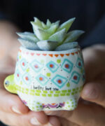 Natural Life Turtle Faux Succulent 1