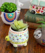 Natural Life Turtle Faux Succulent 2