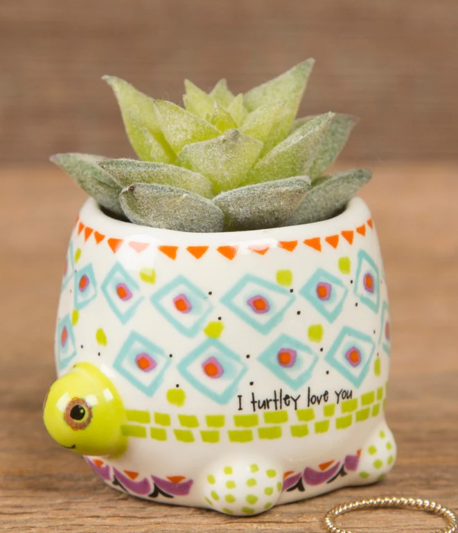 Natural Life Turtle Faux Succulent Natural Life Turtle Faux Succulent