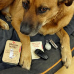 New Dog Care Kit In A Tin 1