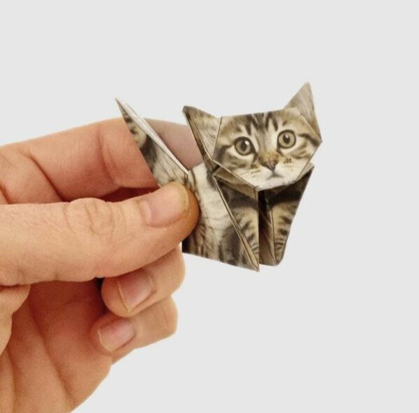 Paper Cats 2