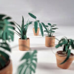 Paper Plants 1