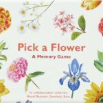 Pick A Flower A Memory Game
