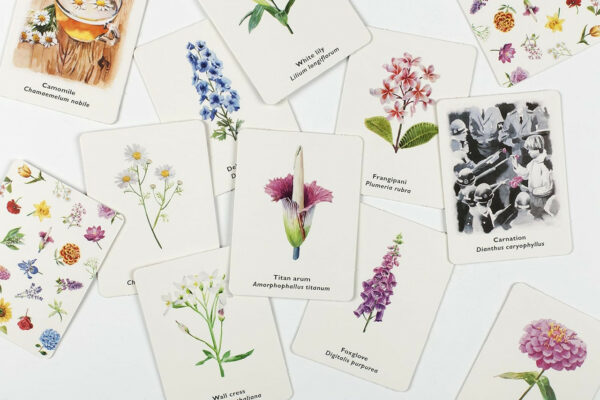 Pick A Flower A Memory Game 3