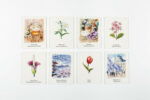 Pick A Flower A Memory Game 4