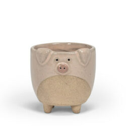 Pig On Legs Small Planter