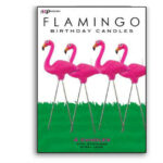 Pink Flamingo Cake Candles, Set Of 4