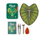 Plant Care Kit Tin 2