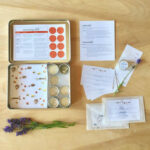 Potting Shed Seed Saving Kit 2