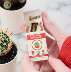 Pricking Perfect Hoop Matchbox Cross Stitch Kit