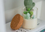 Prickly Pear Cactus Candle With Cork Lid 1
