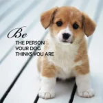 Pup Notes - Notes Of Dog Love & Joy 1