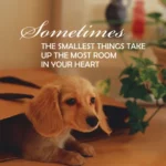 Pup Notes - Notes Of Dog Love & Joy 3