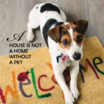 Pup Notes - Notes Of Dog Love & Joy 4