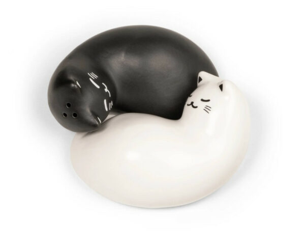 Purrfect Salt & Pepper Shakers 2