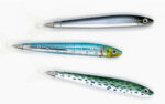 Sardine Fish Pens, Set Of 3 1