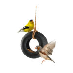 Small Tire Swing Bird Feeder