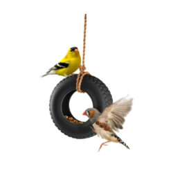 Small Tire Swing Bird Feeder