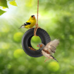 Small Tire Swing Bird Feeder 4