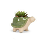 Small Turtle Planter 1
