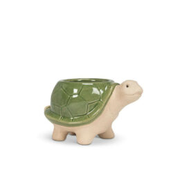 Small Turtle Planter