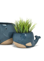 Small Whale Planter 1