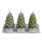 Spruce Tealight Candles, Set Of 6