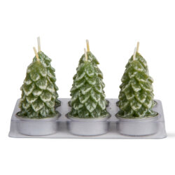 Spruce Tealight Candles, Set Of 6