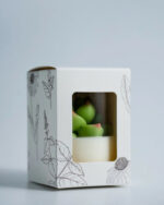 Succulent Soy Candle With Cork Lid 1