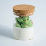 Succulent Soy Candle With Cork Lid