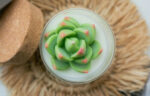 Succulent Soy Candle With Cork Lid 2
