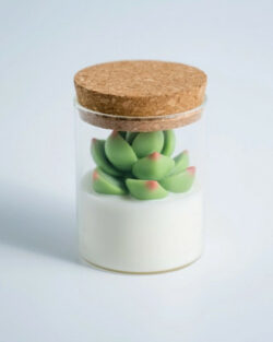 Succulent Soy Candle With Cork Lid