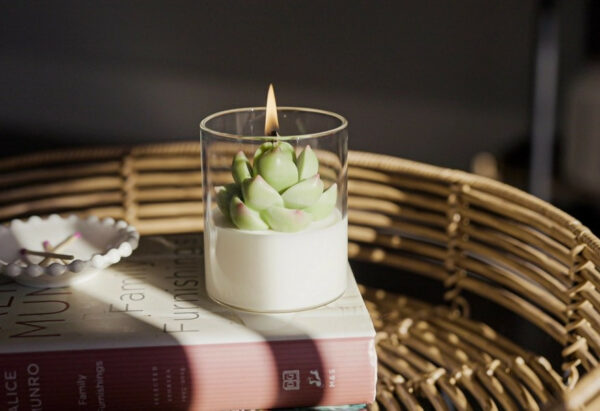 Succulent Soy Candle With Cork Lid 3