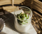 Succulent Soy Candle With Cork Lid 4