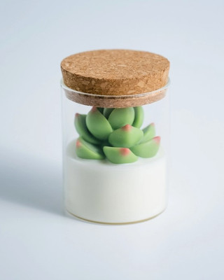 Succulent Soy Candle With Cork Lid