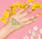 Tattly Tiny Butterfly Tattoo Tin 2