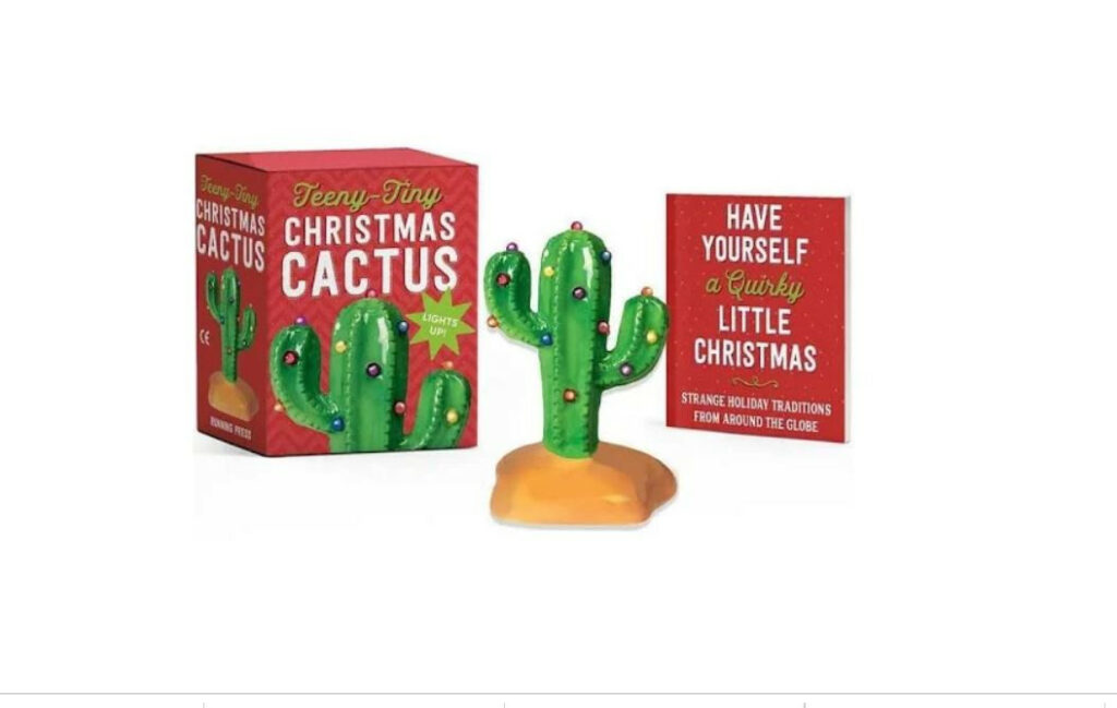 Teeny Tiny Christmas Cactus