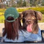 Tell Your Dog I Said Hi Hat 1