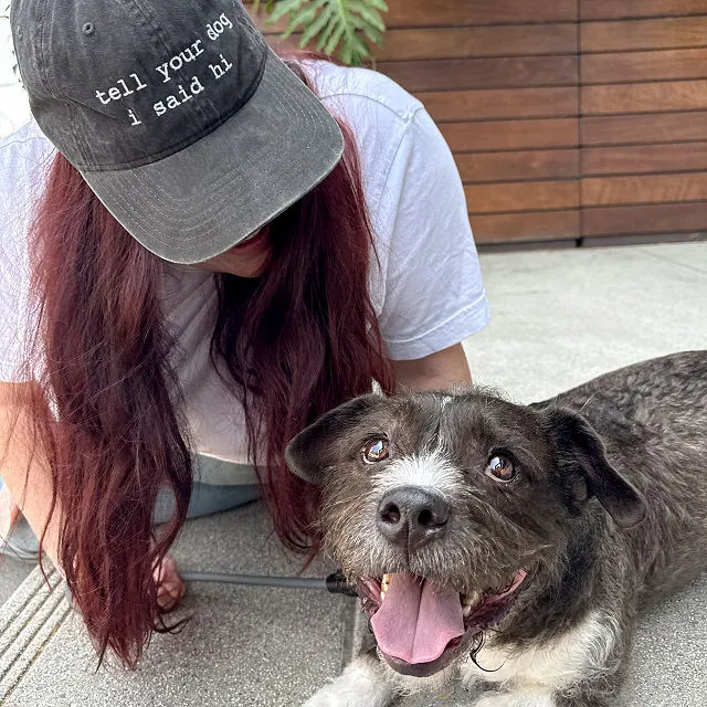 Tell Your Dog I Said Hi Hat