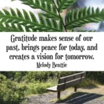 Thank You Notes - Heartfelt Messages Of Appreciation & Gratitude 3