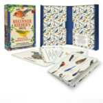 The Beginner Birder’s Deck