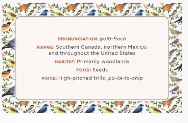 The Beginner Birder’s Deck 2