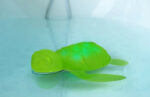 Tub Turtle Light-up Bath Toy 2