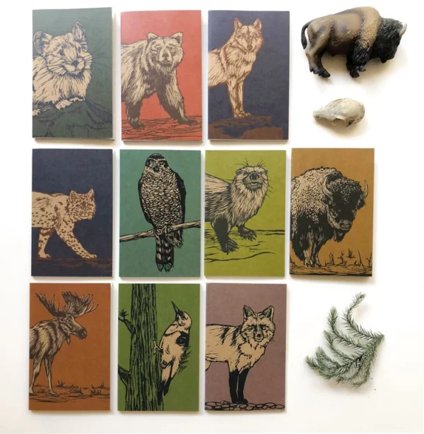 Woodland Creatures - 10 Notebook Set 3