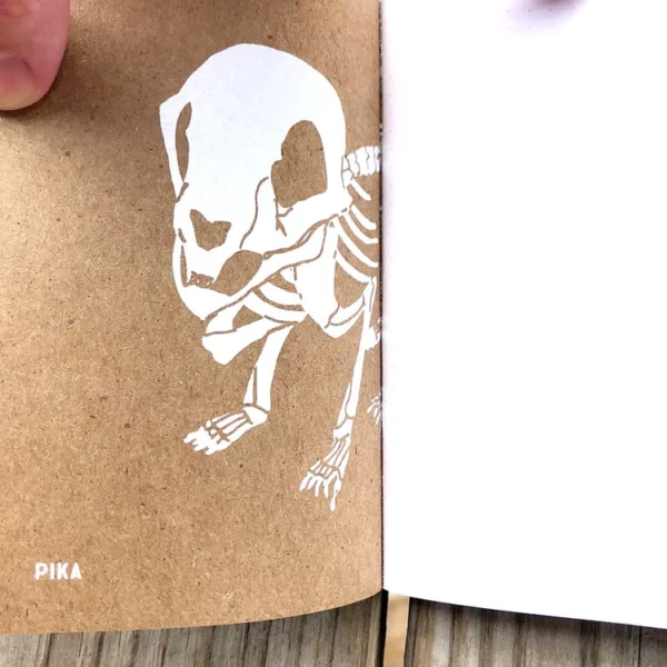 Woodland Creatures - 10 Notebook Set 4