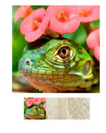 Zen Art & Design Small Puzzle 1